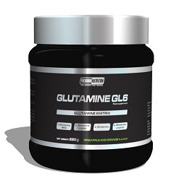 Fitness Authority Glutamine GL6 293 g