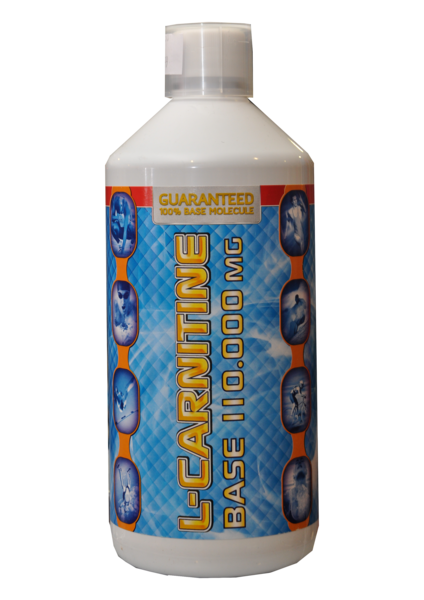 HOLMA L-Carnitin 100000 1000 ml